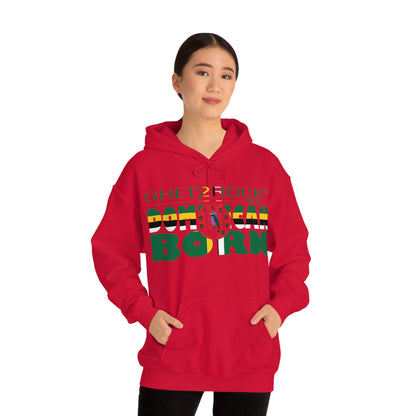 Dominican Born Unisex Heavy Blend™ Hooded Sweatshirt